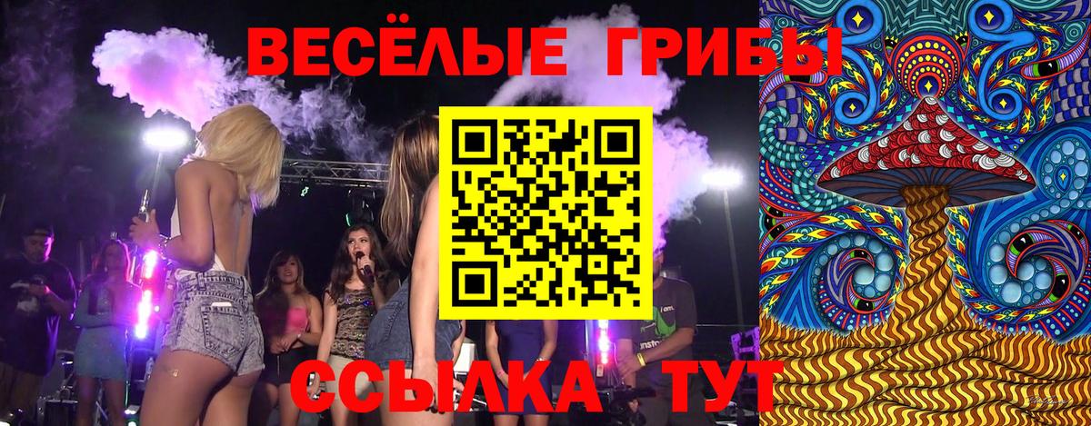 Сертолово  Галлюциногенные грибы мухоморы  Вход с VPN  Галлюциногенные грибы GOLDEN TEACHER 