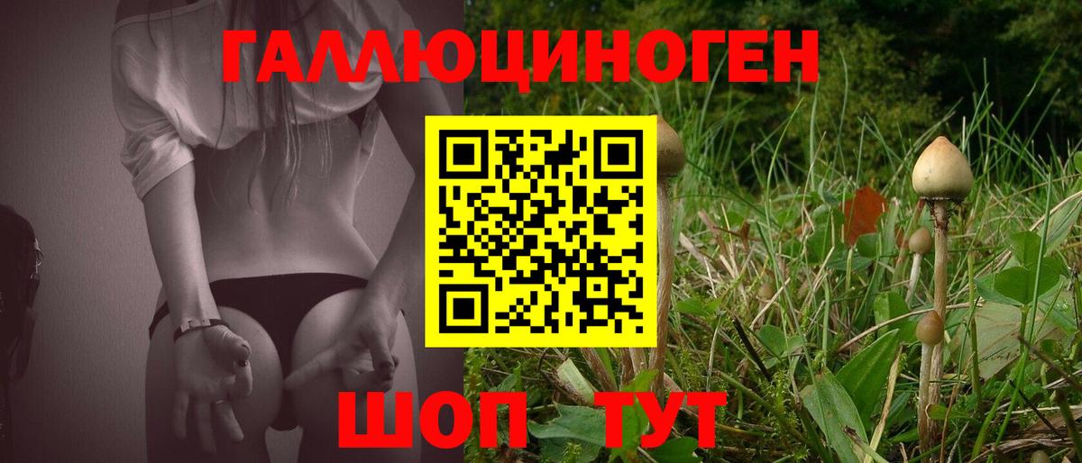 Псилоцибиновые грибы мицелий Сертолово